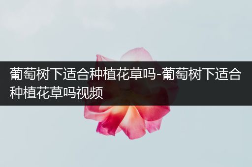 葡萄树下适合种植花草吗-葡萄树下适合种植花草吗视频