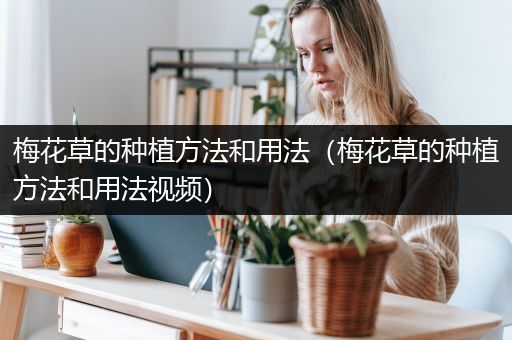 梅花草的种植方法和用法（梅花草的种植方法和用法视频）