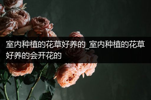 室内种植的花草好养的_室内种植的花草好养的会开花的