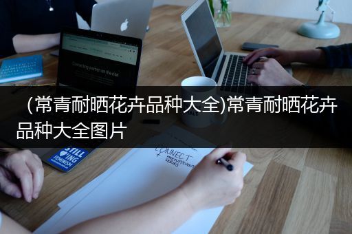 （常青耐晒花卉品种大全)常青耐晒花卉品种大全图片