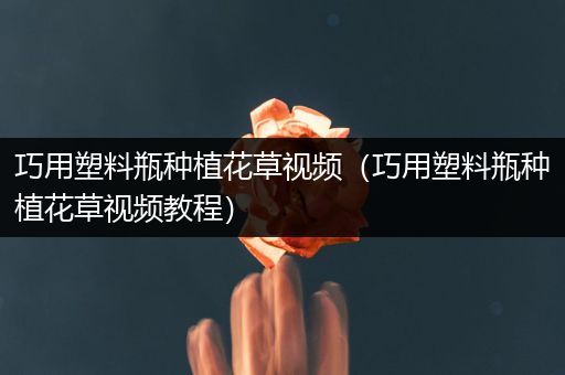 巧用塑料瓶种植花草视频（巧用塑料瓶种植花草视频教程）