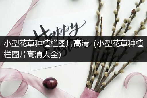 小型花草种植栏图片高清（小型花草种植栏图片高清大全）