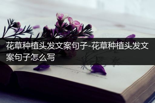 花草种植头发文案句子-花草种植头发文案句子怎么写