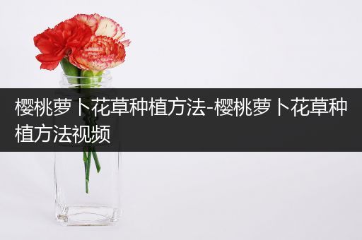 樱桃萝卜花草种植方法-樱桃萝卜花草种植方法视频