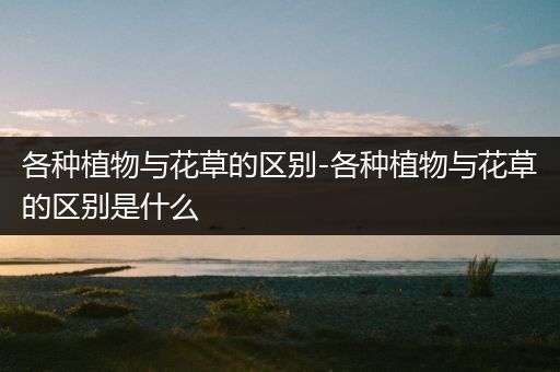 各种植物与花草的区别-各种植物与花草的区别是什么