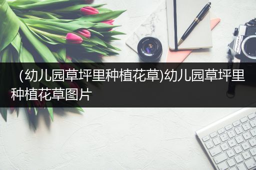 （幼儿园草坪里种植花草)幼儿园草坪里种植花草图片