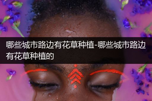 哪些城市路边有花草种植-哪些城市路边有花草种植的