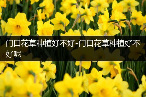 门口花草种植好不好-门口花草种植好不好呢