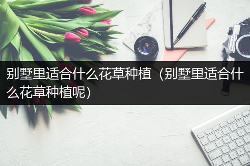 别墅里适合什么花草种植（别墅里适合什么花草种植呢）