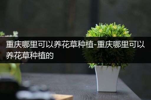 重庆哪里可以养花草种植-重庆哪里可以养花草种植的