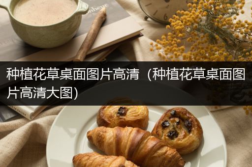 种植花草桌面图片高清（种植花草桌面图片高清大图）