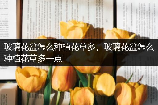 玻璃花盆怎么种植花草多，玻璃花盆怎么种植花草多一点