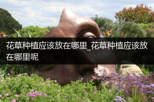 花草种植应该放在哪里_花草种植应该放在哪里呢