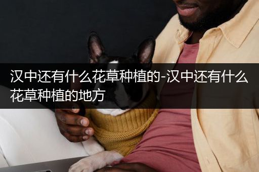 汉中还有什么花草种植的-汉中还有什么花草种植的地方