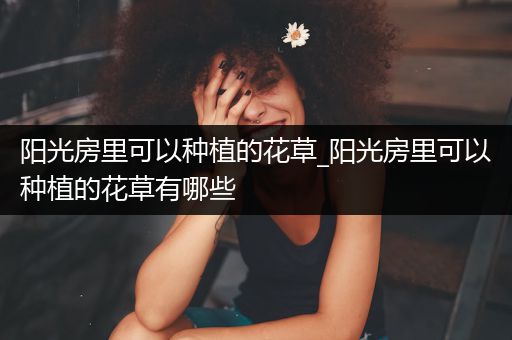 阳光房里可以种植的花草_阳光房里可以种植的花草有哪些