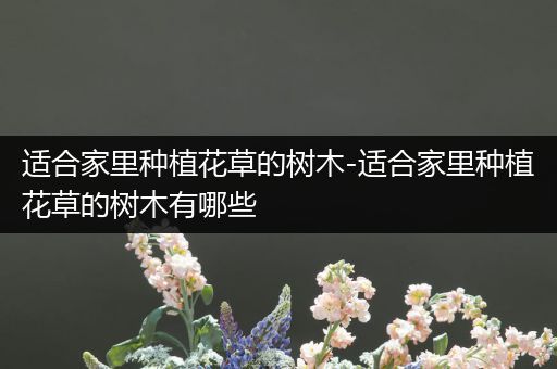 适合家里种植花草的树木-适合家里种植花草的树木有哪些