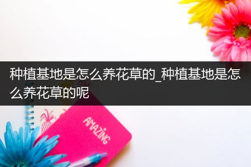 种植基地是怎么养花草的_种植基地是怎么养花草的呢