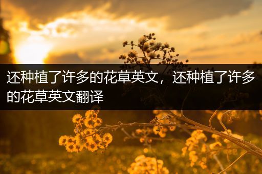 还种植了许多的花草英文，还种植了许多的花草英文翻译