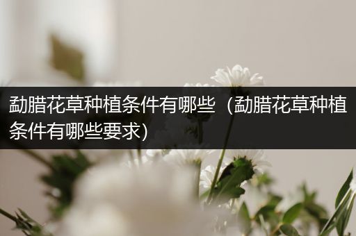 勐腊花草种植条件有哪些（勐腊花草种植条件有哪些要求）
