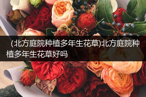 （北方庭院种植多年生花草)北方庭院种植多年生花草好吗
