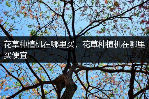 花草种植机在哪里买，花草种植机在哪里买便宜
