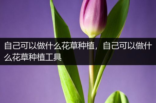 自己可以做什么花草种植，自己可以做什么花草种植工具