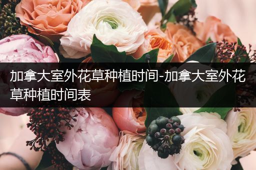 加拿大室外花草种植时间-加拿大室外花草种植时间表