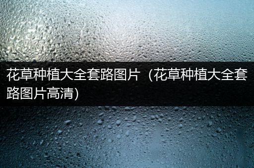 花草种植大全套路图片（花草种植大全套路图片高清）