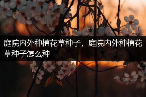 庭院内外种植花草种子，庭院内外种植花草种子怎么种