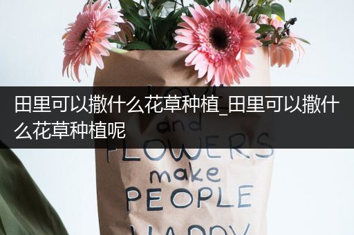 田里可以撒什么花草种植_田里可以撒什么花草种植呢