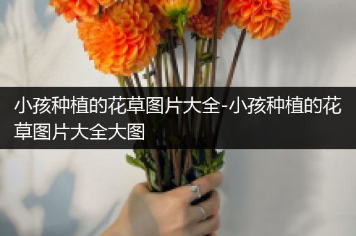 小孩种植的花草图片大全-小孩种植的花草图片大全大图