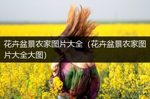 花卉盆景农家图片大全（花卉盆景农家图片大全大图）