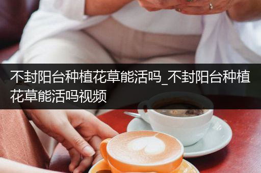 不封阳台种植花草能活吗_不封阳台种植花草能活吗视频