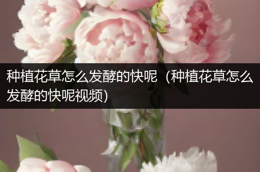 种植花草怎么发酵的快呢（种植花草怎么发酵的快呢视频）