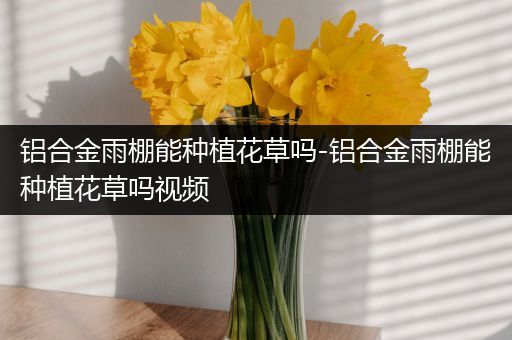 铝合金雨棚能种植花草吗-铝合金雨棚能种植花草吗视频