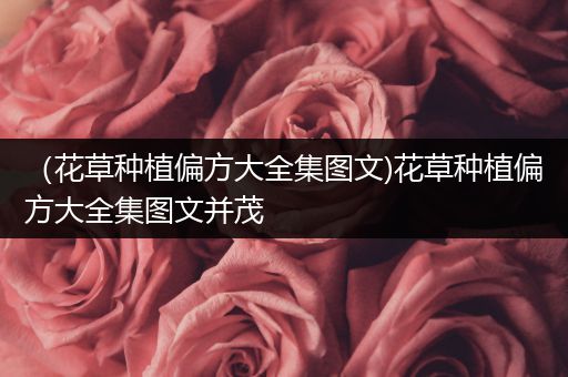 （花草种植偏方大全集图文)花草种植偏方大全集图文并茂