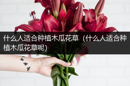 什么人适合种植木瓜花草（什么人适合种植木瓜花草呢）