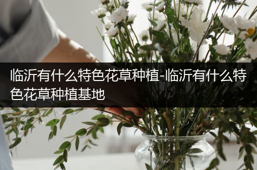 临沂有什么特色花草种植-临沂有什么特色花草种植基地