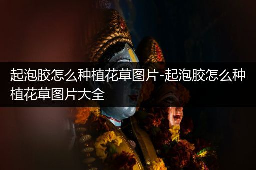 起泡胶怎么种植花草图片-起泡胶怎么种植花草图片大全