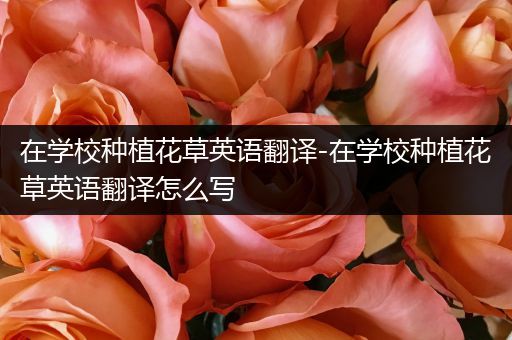 在学校种植花草英语翻译-在学校种植花草英语翻译怎么写