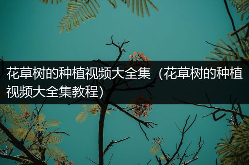 花草树的种植视频大全集（花草树的种植视频大全集教程）