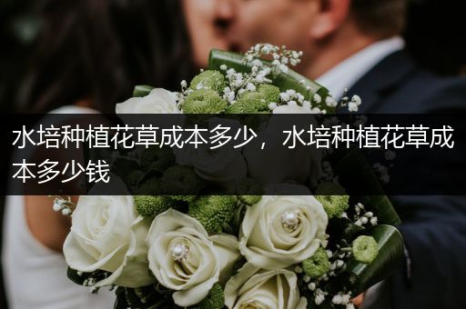 水培种植花草成本多少，水培种植花草成本多少钱