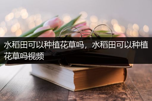水稻田可以种植花草吗，水稻田可以种植花草吗视频