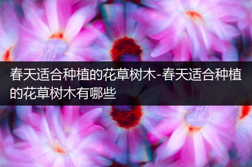 春天适合种植的花草树木-春天适合种植的花草树木有哪些