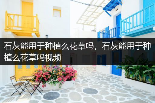 石灰能用于种植么花草吗，石灰能用于种植么花草吗视频