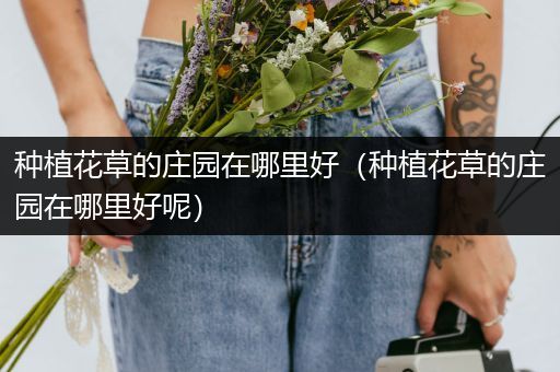 种植花草的庄园在哪里好（种植花草的庄园在哪里好呢）