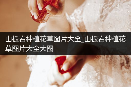 山板岩种植花草图片大全_山板岩种植花草图片大全大图