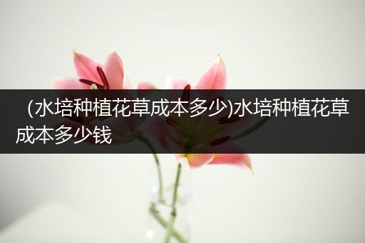 （水培种植花草成本多少)水培种植花草成本多少钱