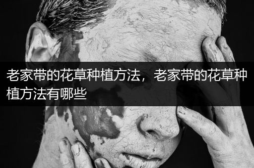 老家带的花草种植方法，老家带的花草种植方法有哪些