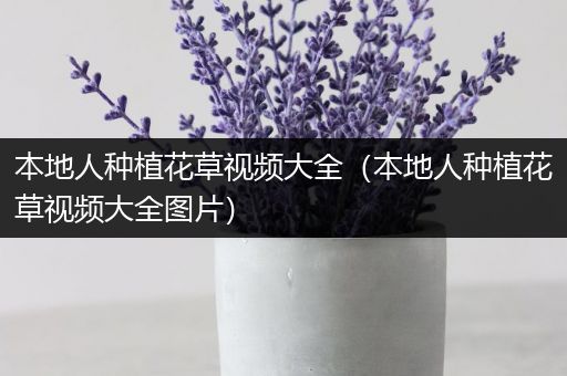 本地人种植花草视频大全（本地人种植花草视频大全图片）